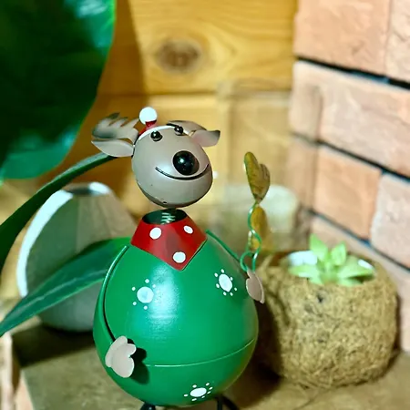 Bez Adresu I Sąsiadów Ferienhaus *