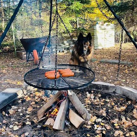 Bez Adresu I Sąsiadów Ferienhaus Hohenstein