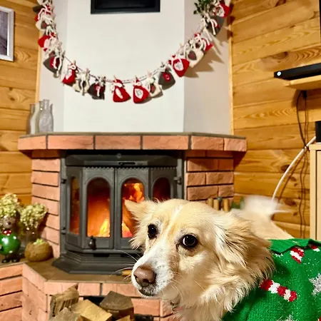 Bez Adresu- Tu Nikt Cie Nie Znajdzie *