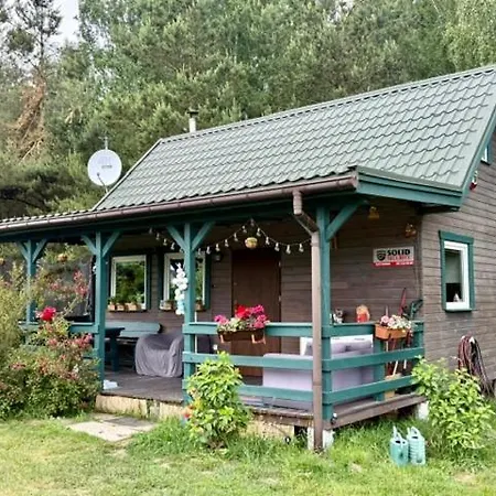 Bez Adresu- Tu Nikt Cie Nie Znajdzie Tatil Evi *